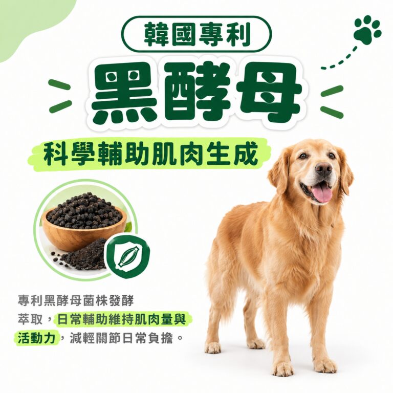 M154【毛健寶】脫胎換骨保健粉,U62720005,M154【毛健寶】脫胎換骨保健粉,台灣製,天然,寵物友善