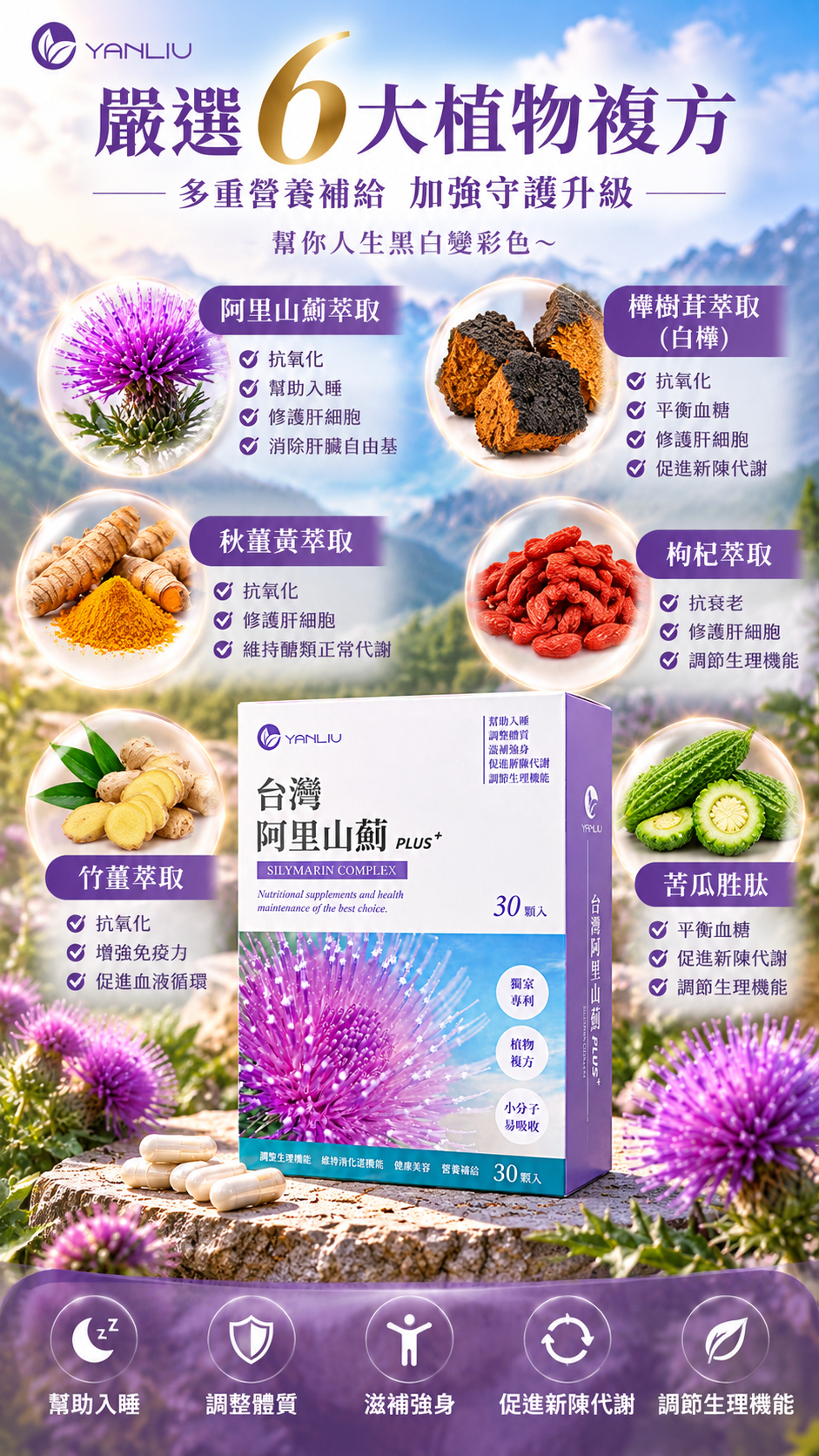 M182【YANLIU】台灣阿里山薊PLUS+,U62710002,M182【YANLIU】台灣阿里山薊PLUS+,台灣製,天然,保養