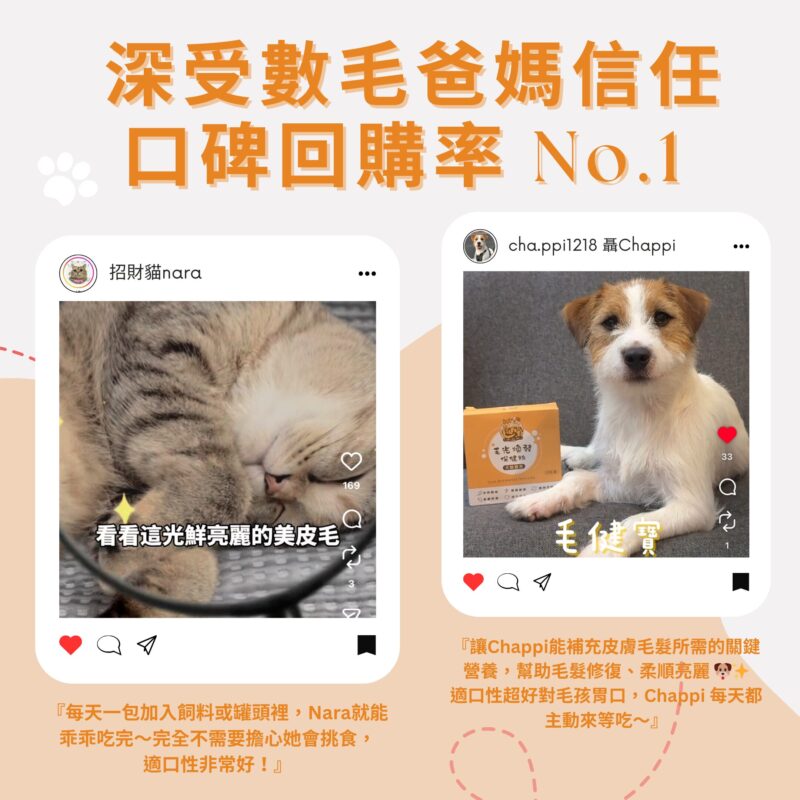 M154【毛健寶】毛光煥發保健粉,U62720004,M154【毛健寶】毛光煥發保健粉,台灣製,天然,寵物友善