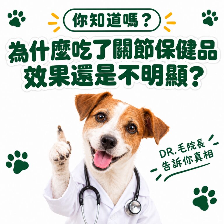 M154【毛健寶】脫胎換骨保健粉,U62720005,M154【毛健寶】脫胎換骨保健粉,台灣製,天然,寵物友善