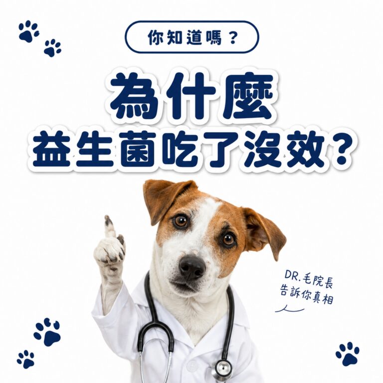 M154【毛健寶】腸腸久久益生菌,U62570012,M154【毛健寶】腸腸久久益生菌,台灣製,天然,寵物友善