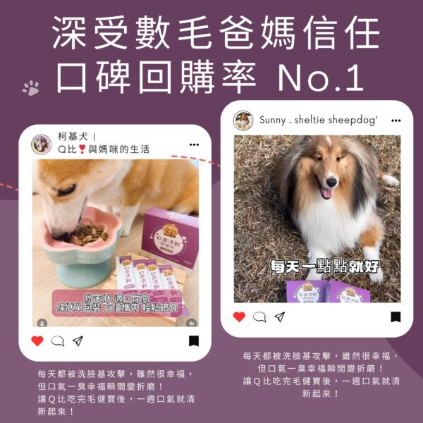 M154【毛健寶】口齒清新保健粉,U62720003,M154【毛健寶】口齒清新保健粉,台灣製,天然,寵物友善