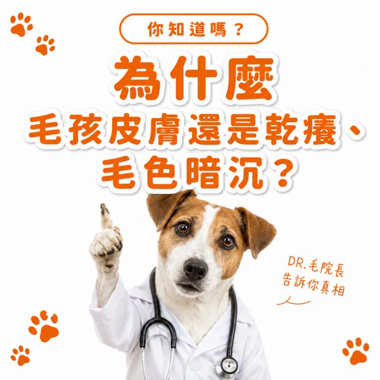 M154【毛健寶】毛光煥發保健粉,U62720004,M154【毛健寶】毛光煥發保健粉,台灣製,天然,寵物友善