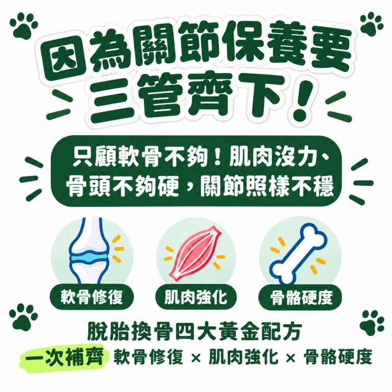 M154【毛健寶】脫胎換骨保健粉,U62720005,M154【毛健寶】脫胎換骨保健粉,台灣製,天然,寵物友善