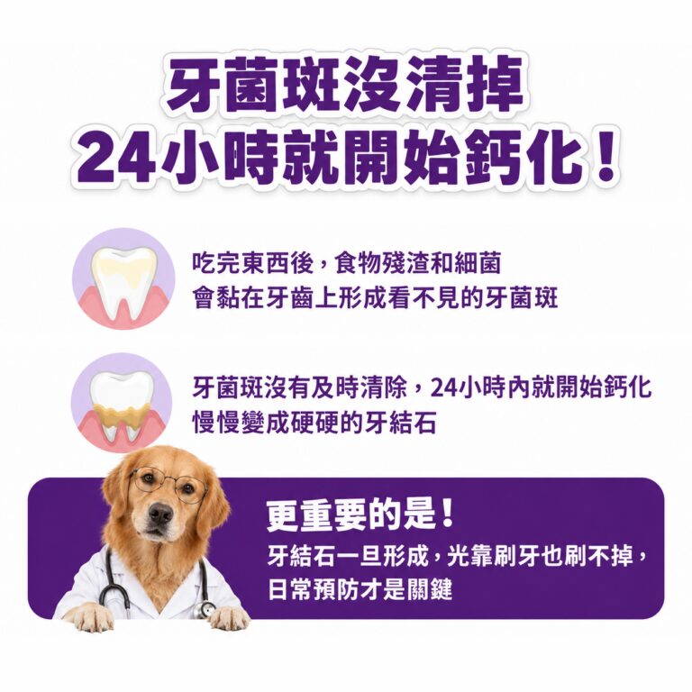 M154【毛健寶】口齒清新保健粉,U62720003,M154【毛健寶】口齒清新保健粉,台灣製,天然,寵物友善