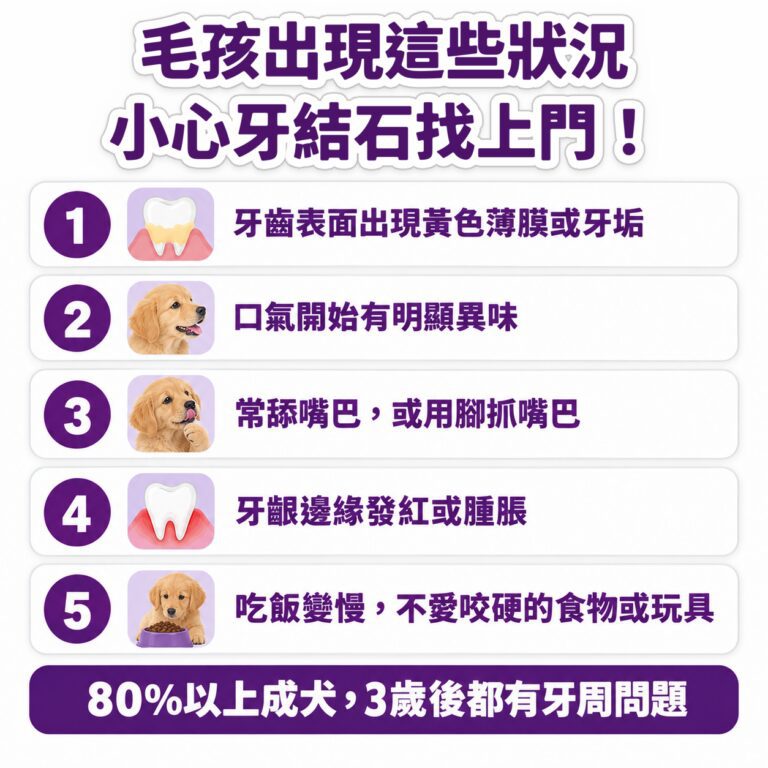 M154【毛健寶】口齒清新保健粉,U62720003,M154【毛健寶】口齒清新保健粉,台灣製,天然,寵物友善