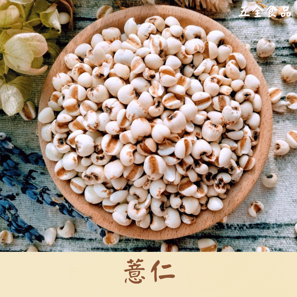 大薏仁